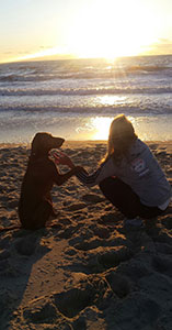 hund21 300